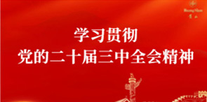 学习贯彻党的二十届三中全会精神